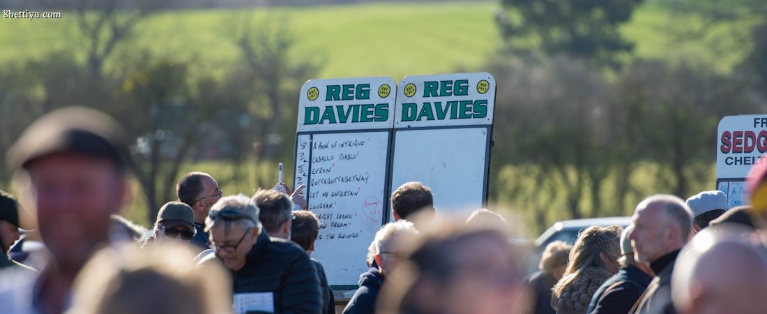 A group of people gathered outdoors with two large betting boards in the background labeled 'REG DAVIES'. The setting appears to be a countryside location with trees and fields visible in the distance. The crowd consists of individuals dressed in jackets and hats, engaging in conversation.